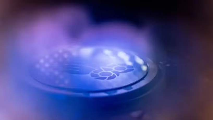 1772073331108672.png ScreenShot_2026-02-26_102620_379.png