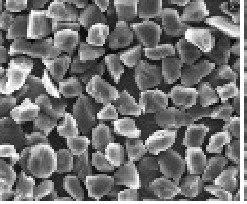 From the Microcosm to Applications: Exploring the Secrets of Single-Crystal and Polycrystalline Diamond