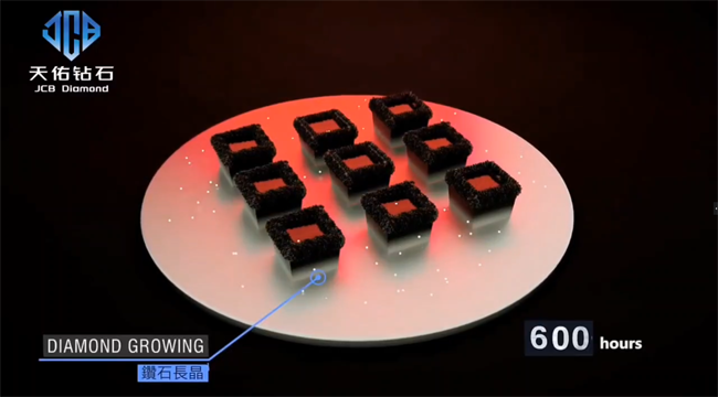 CVD lab grown diamond growth process