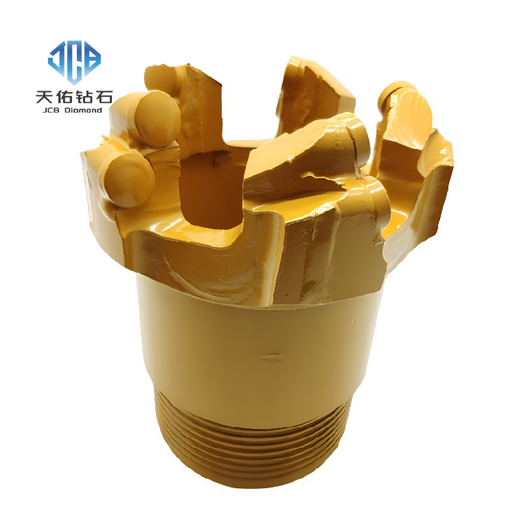 Leach drill bit with spherical and dome‑shaped PDC ribs