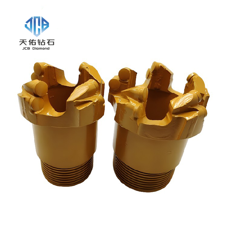Leach drill bit with spherical and dome‑shaped PDC ribs