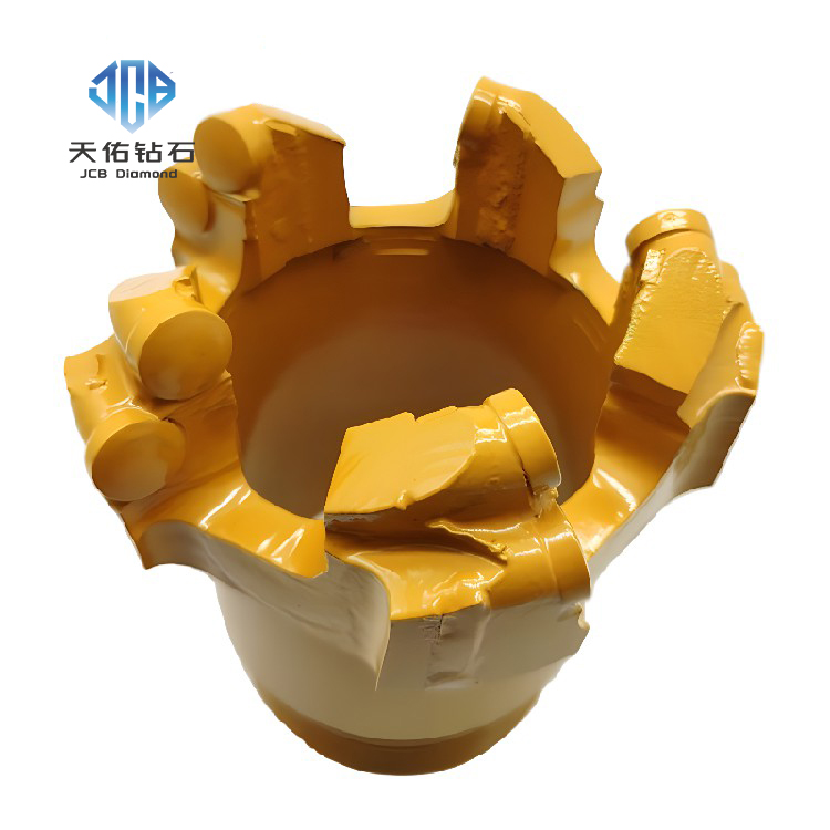 Leach drill bit with spherical and dome‑shaped PDC ribs